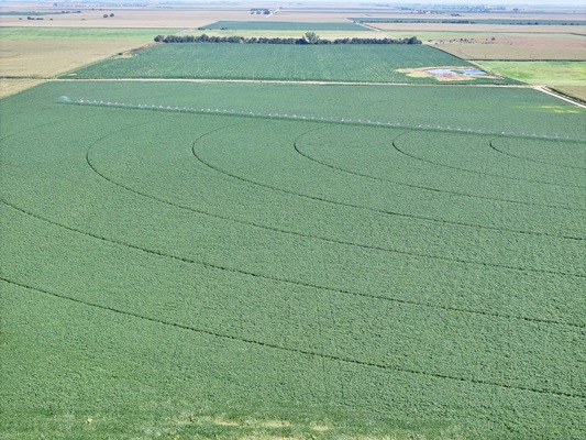 DJI 20250821103424 0744 D