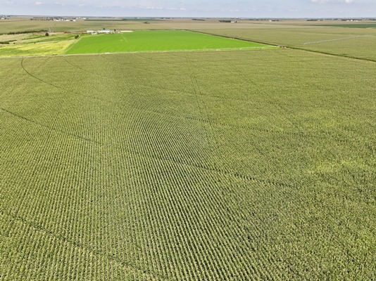 DJI 20250812132535 0584 D