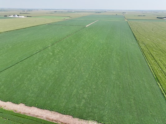 DJI 20250805090526 0360 D