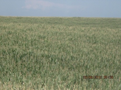 2005