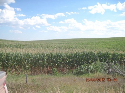 2007