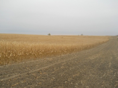 DSCN1461