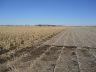 Farmland Updated (2)